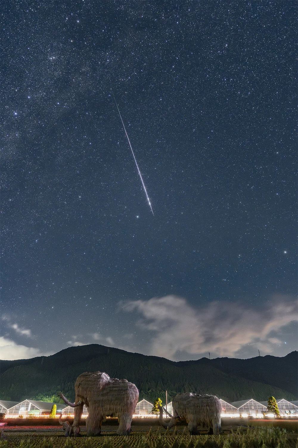 @46kazuki わらマンモスと流れ星（西予市）