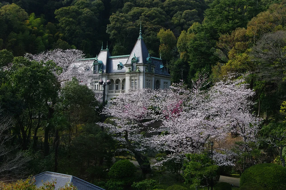 @toshiueno0419 萬翠荘（松山市）