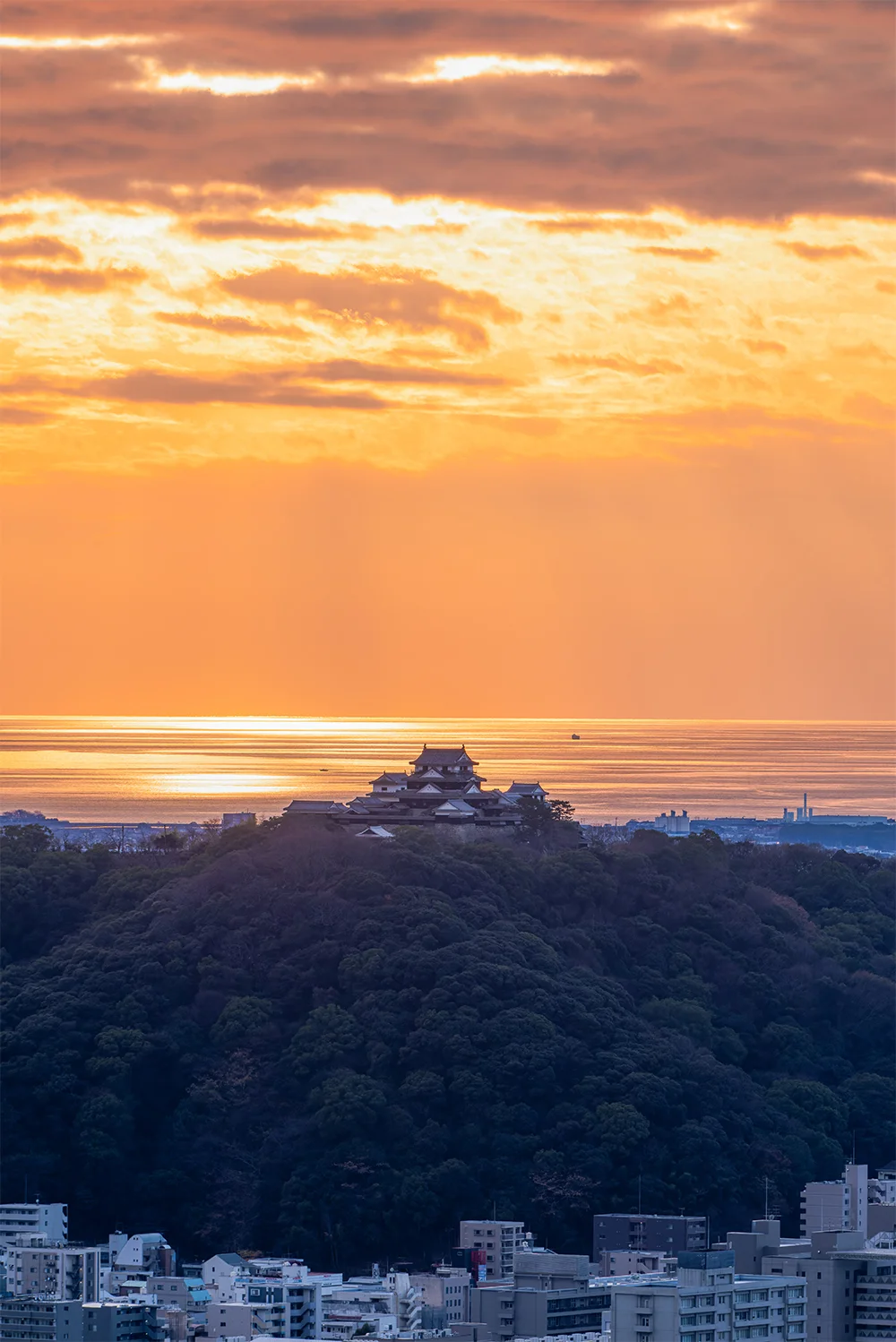 @champerson4 えひめ色の松山城（松山市）