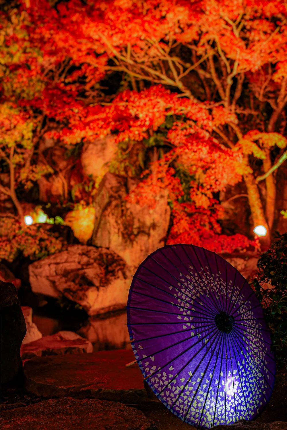 @kazuya_photo.728 松山城二之丸史跡庭園（松山市）