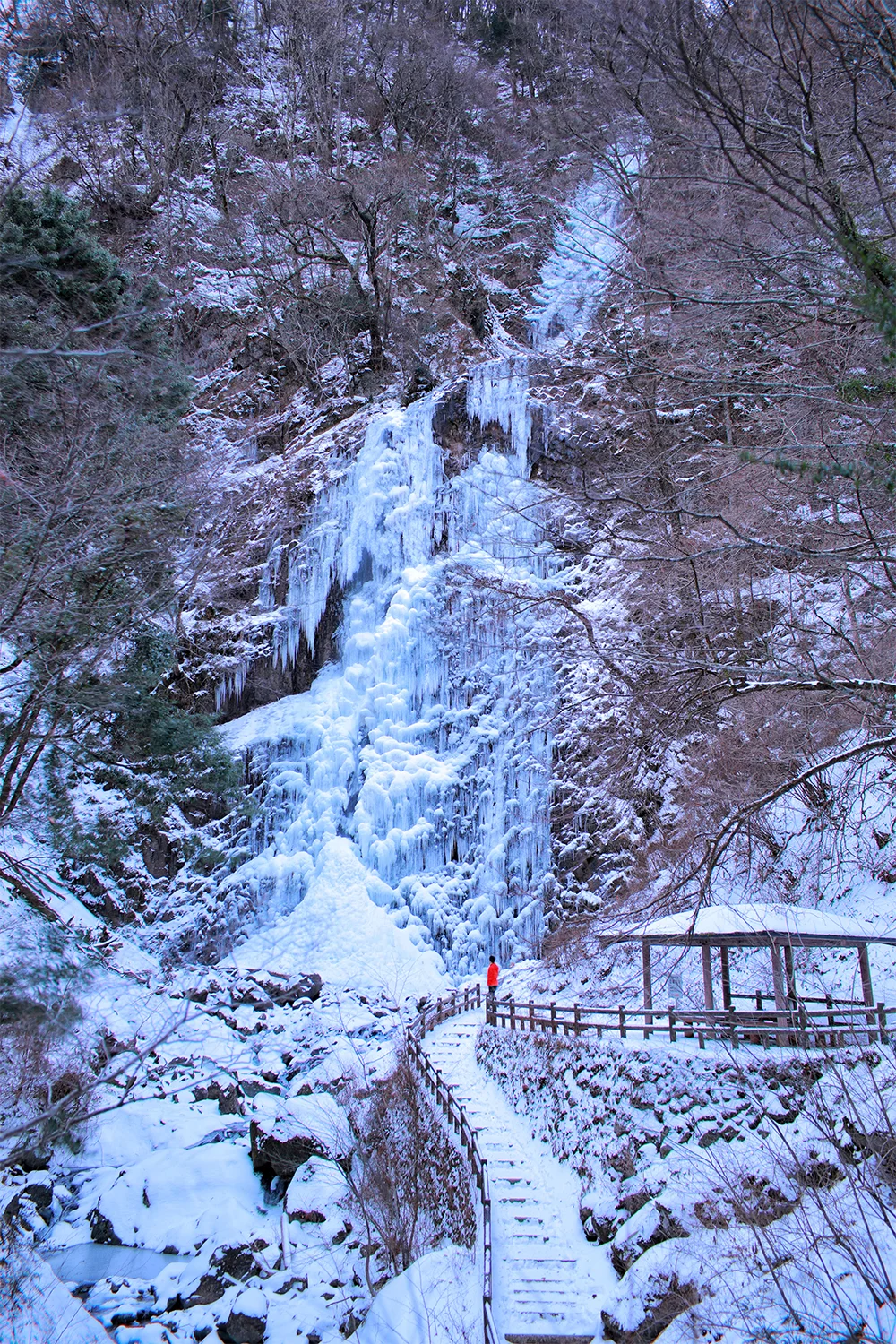 @ksakamoto_canon 白猪の滝の氷瀑（東温市）