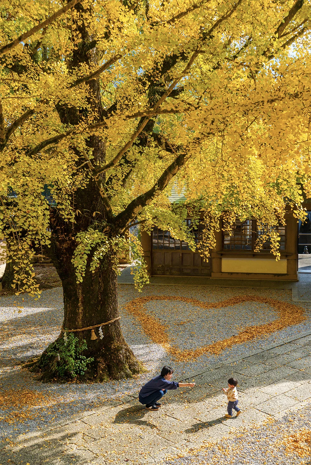 @isao_yuuki 神社の境内（宇和島市）