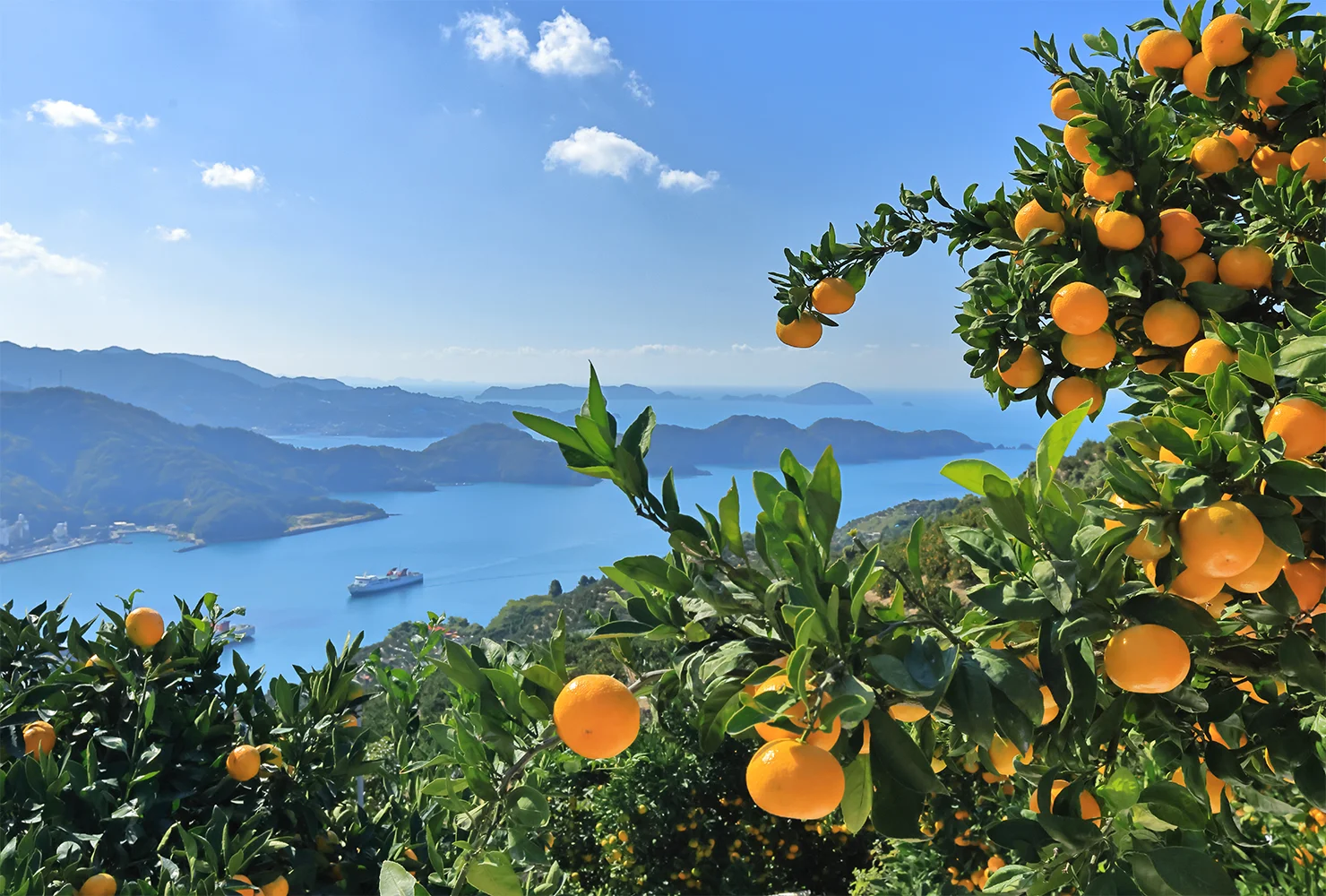 内海 清⽂ さん おかえりなさい（八幡浜市）