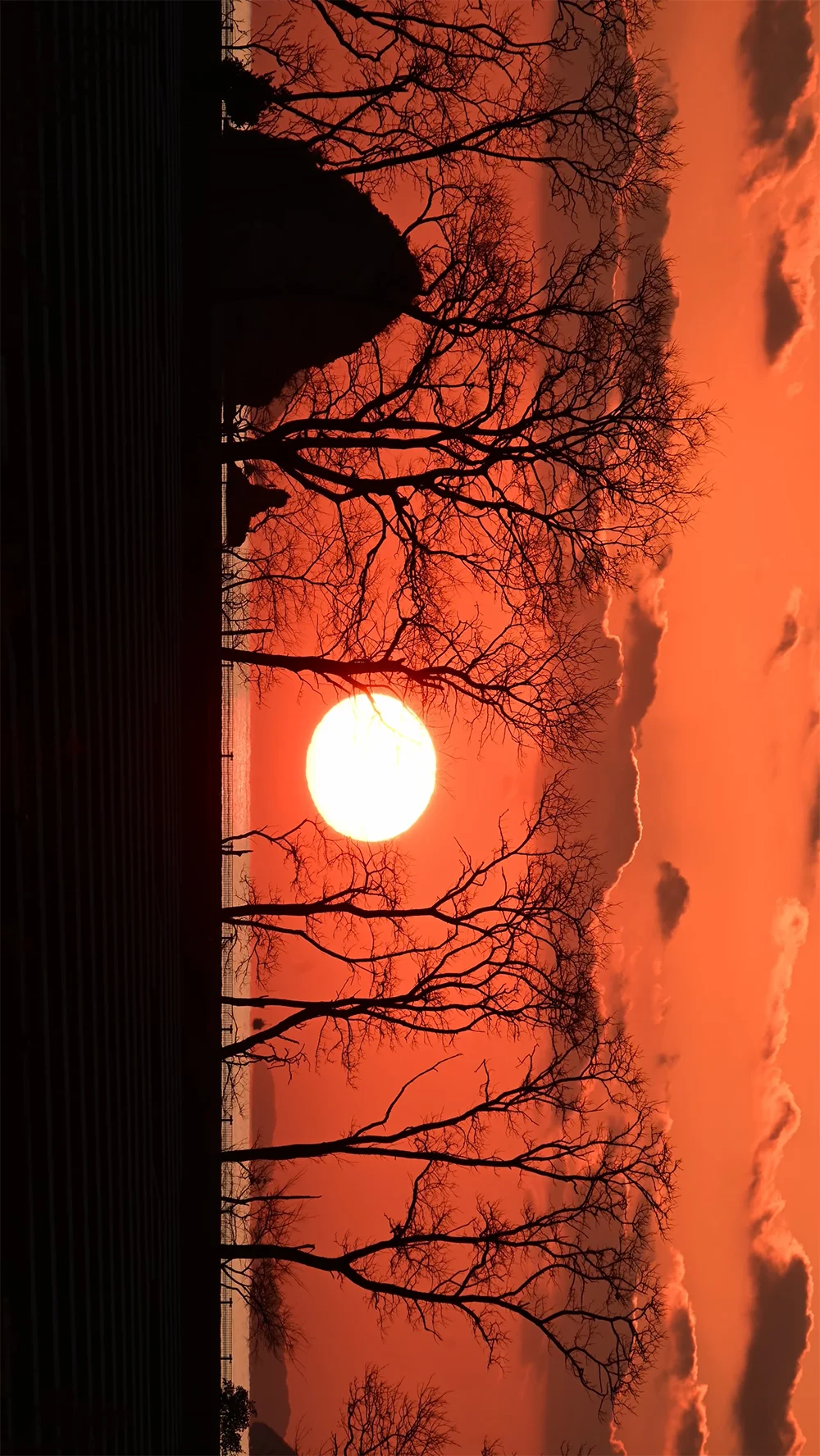 @miu193_ モンチッチ海岸のだるま夕日（松山市）