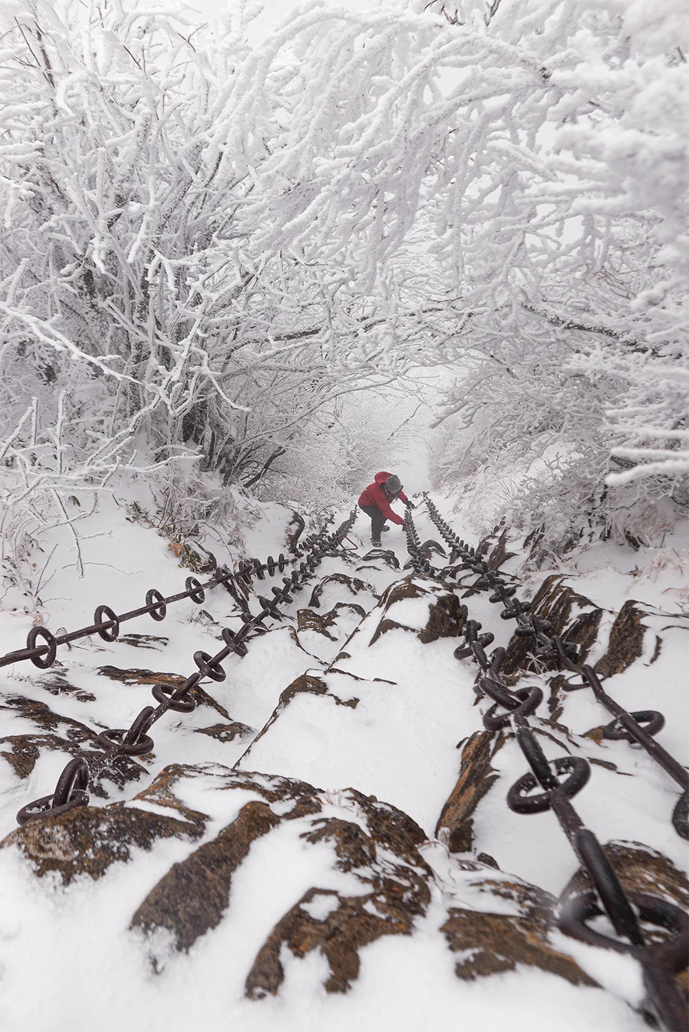 @kubrider 雪の鎖道（西条市）