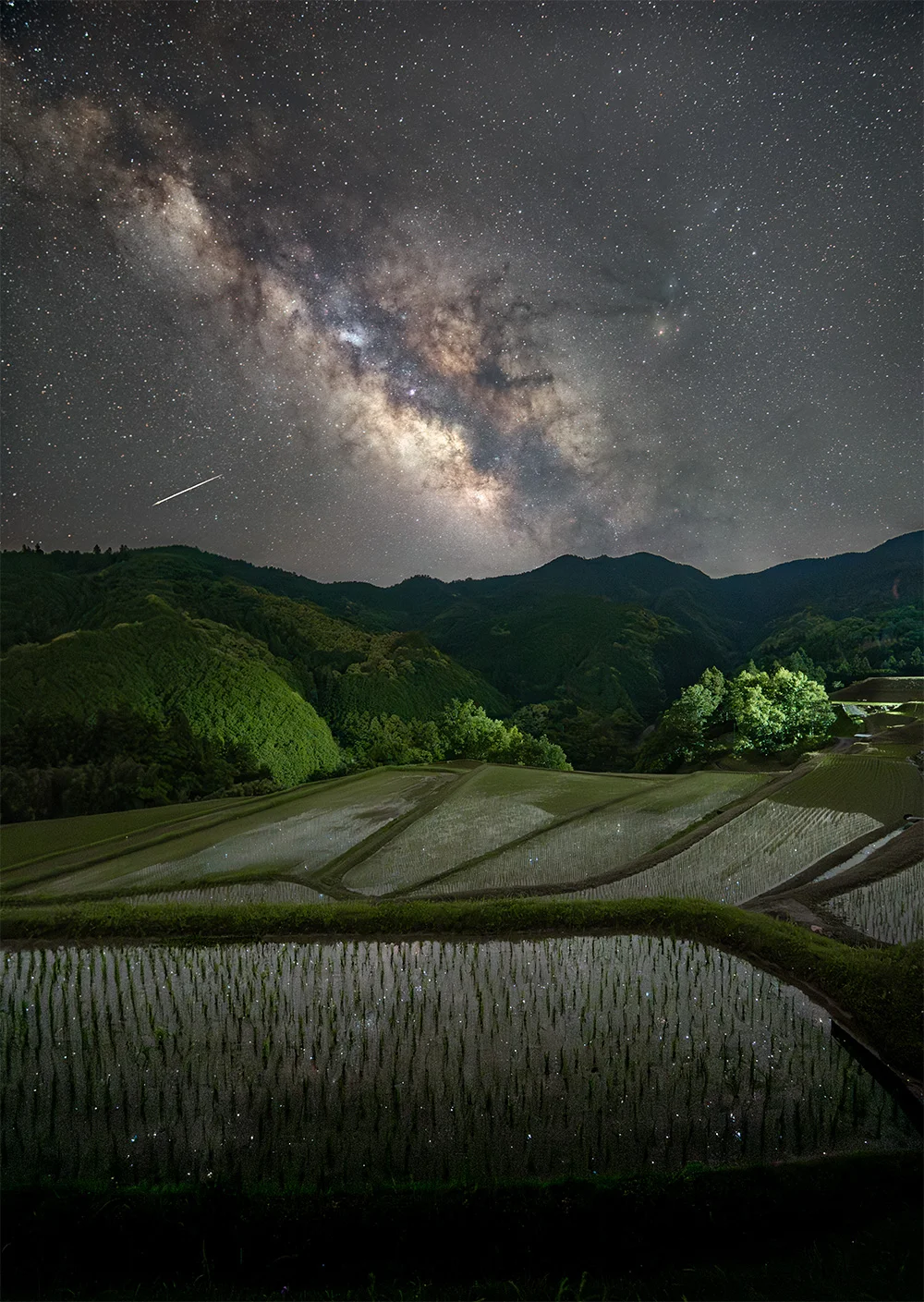 @miu193_ 棚田に降る星たち(蔵川棚田/大洲市)