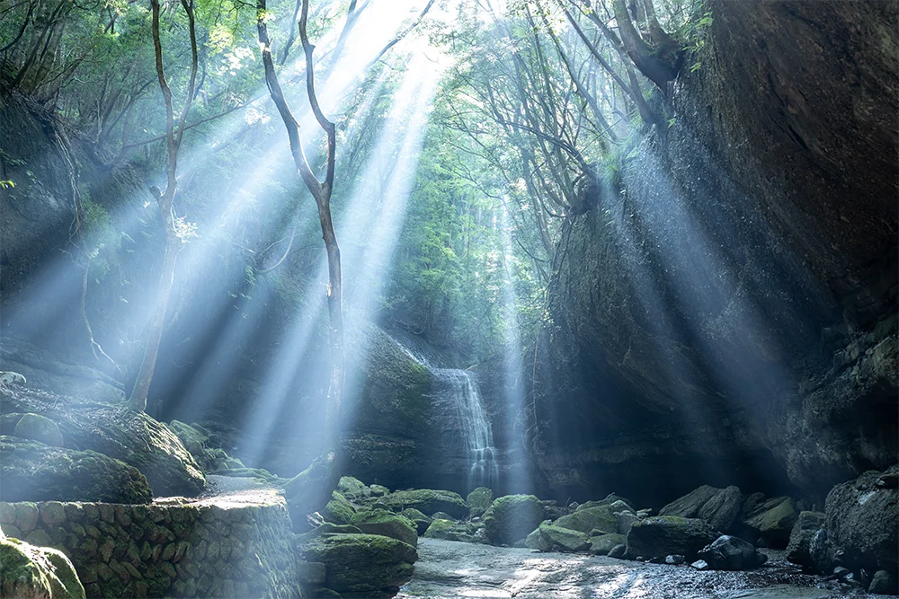 @miu193_ 降りそそぐ光(滑川渓谷/東温市)