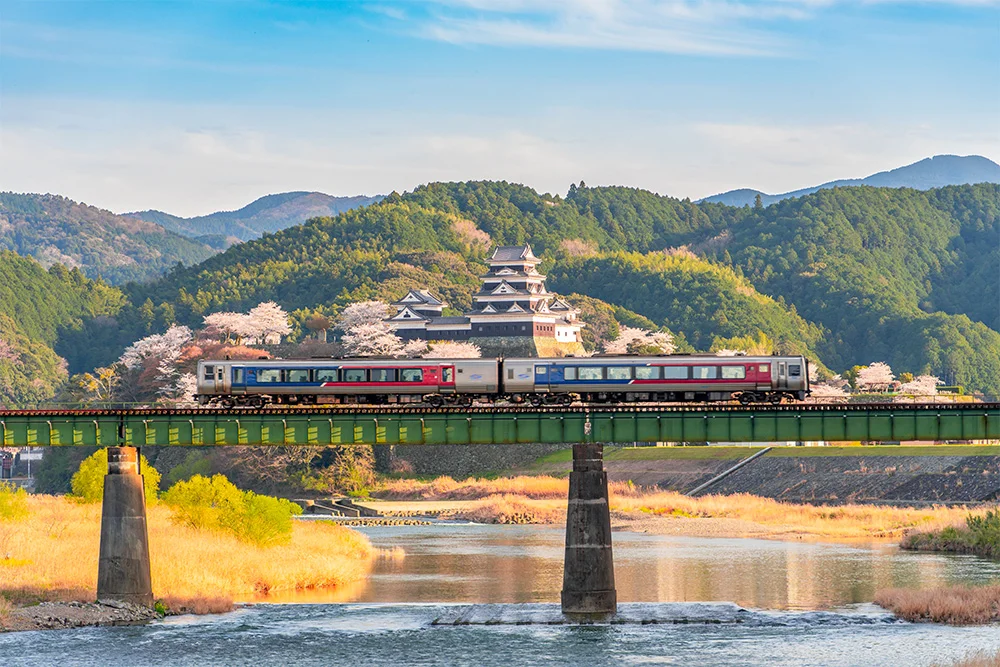 @katurin48 大洲城と桜と鉄道(大洲市)