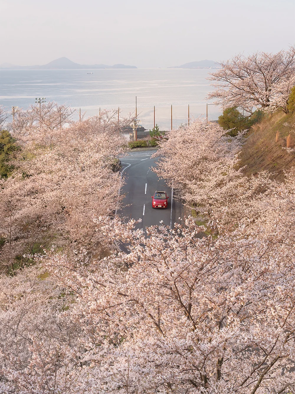 @renstagram.inc 僕が走る、この町の春（伊予市）