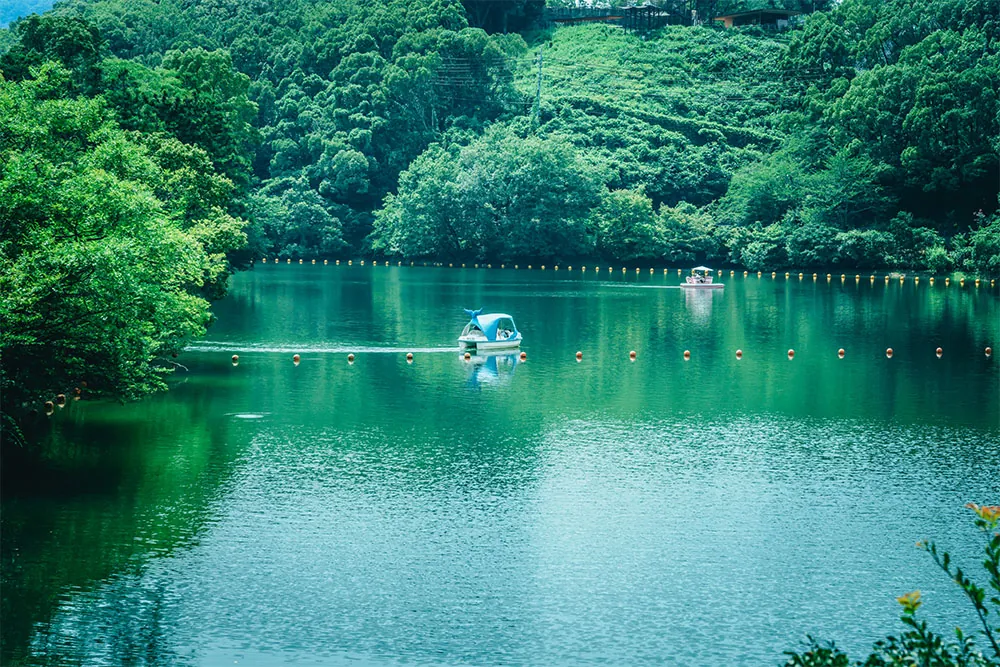 池の上を進むボート