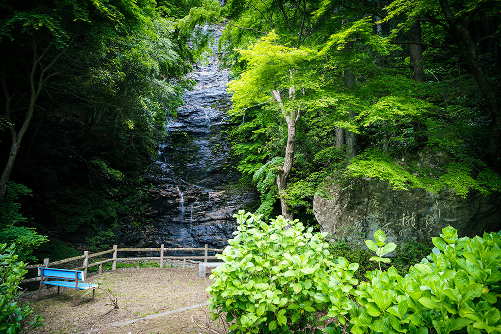 暑い夏は、涼やかな憩い場になります