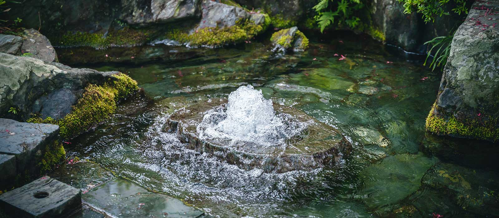 西条の名水「うちぬき」その1。美しい水の都。