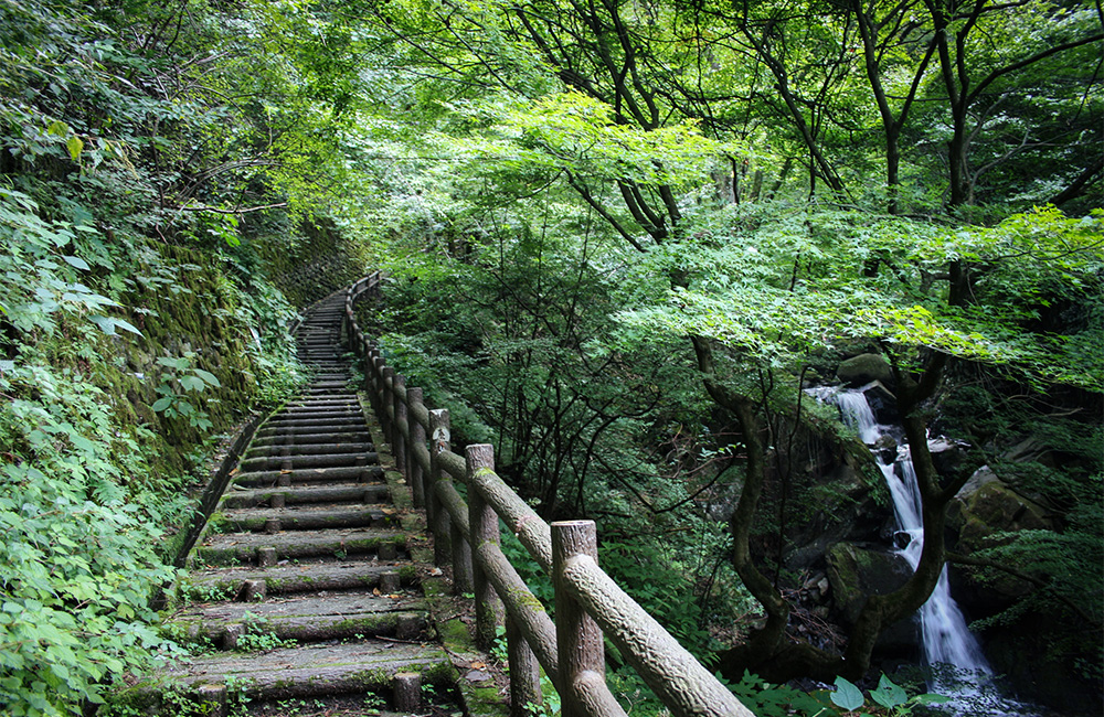白猪の滝へ続く遊歩道